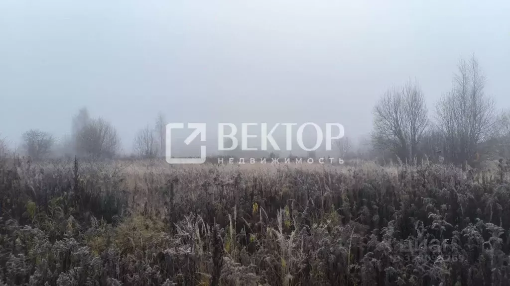 Участок в Костромская область, Кострома ул. Героев (8.8 сот.) - Фото 1