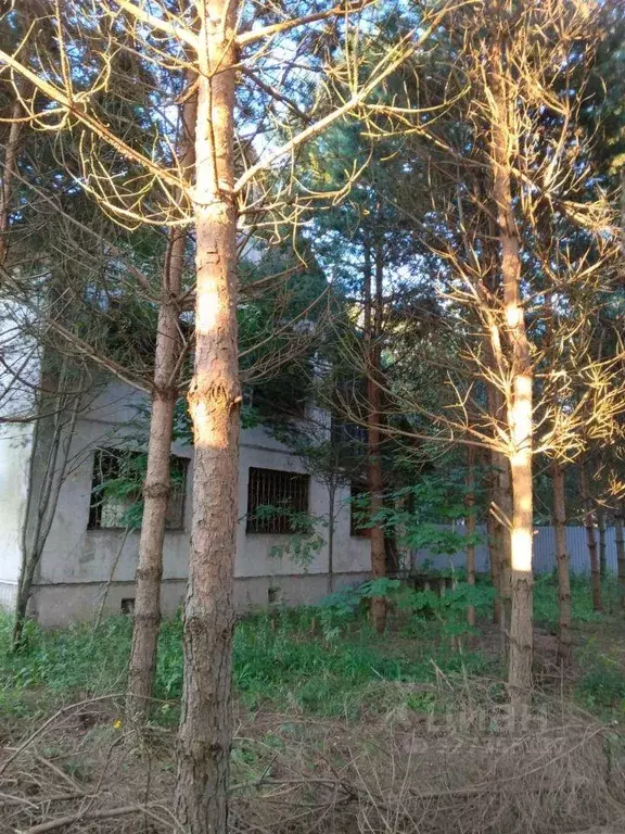 Дом, 300 м - Фото 2