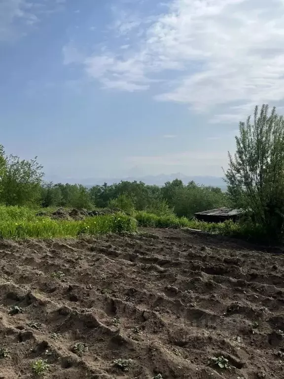 Участок в Камчатский край, Елизовский муниципальный округ, пос. ... - Фото 1