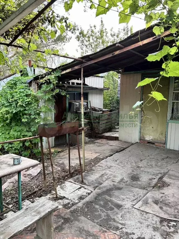 Дача 30 м на участке 10,3 сот. - Фото 0