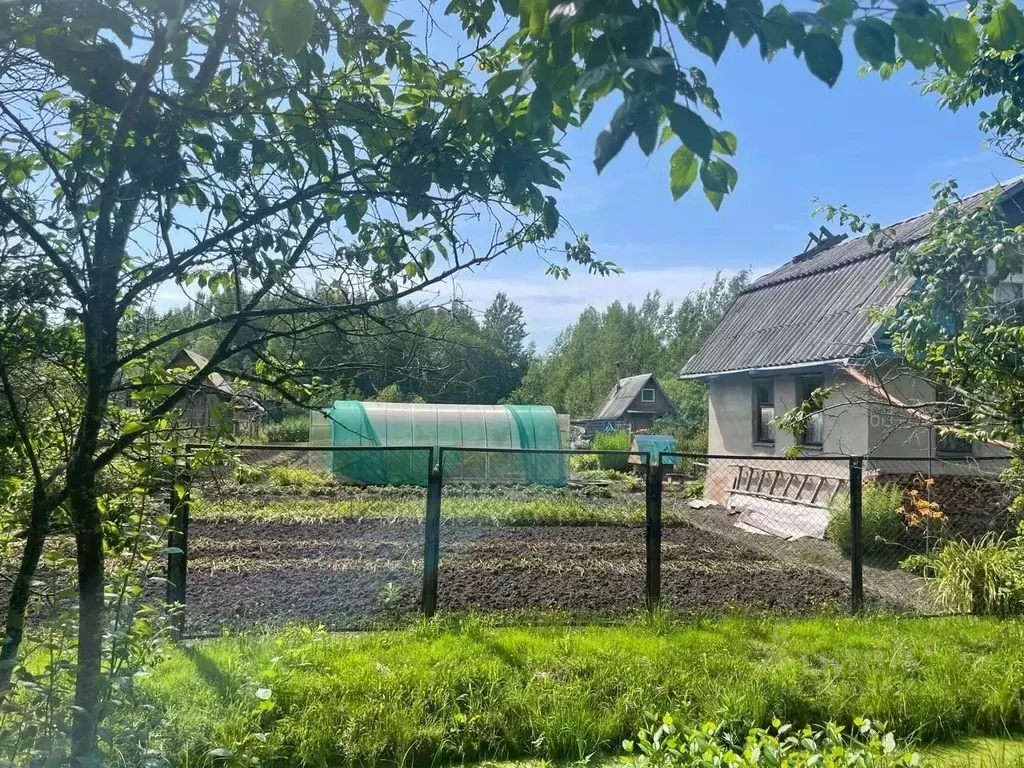 Дом в Новгородская область, Новгородский район, Панковское городское ... - Фото 2