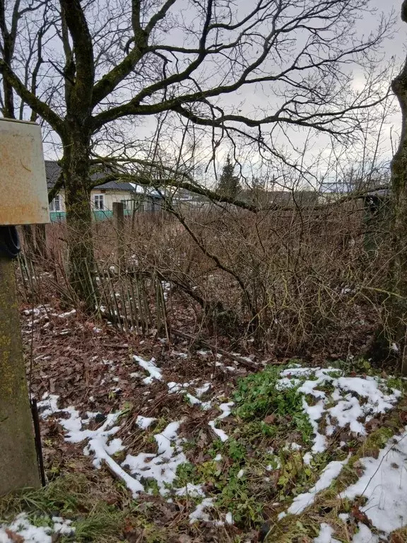 Дом в Новгородская область, Чудово ул. Иванова, 1 (31 м) - Фото 1