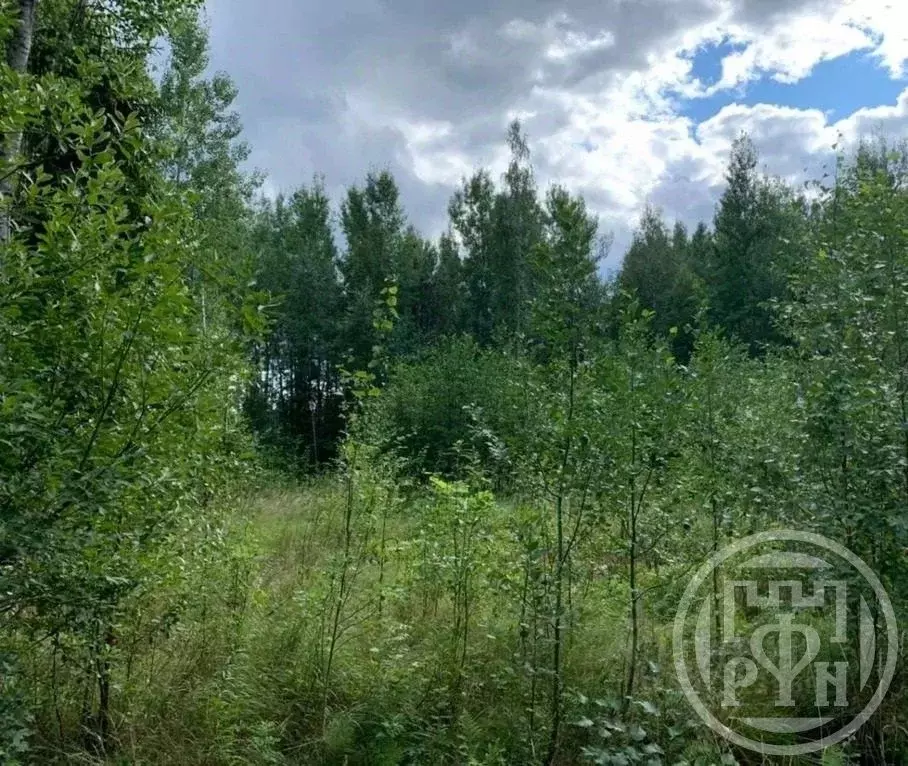 Участок в Ленинградская область, Киришский район, Кусинское с/пос, ... - Фото 1