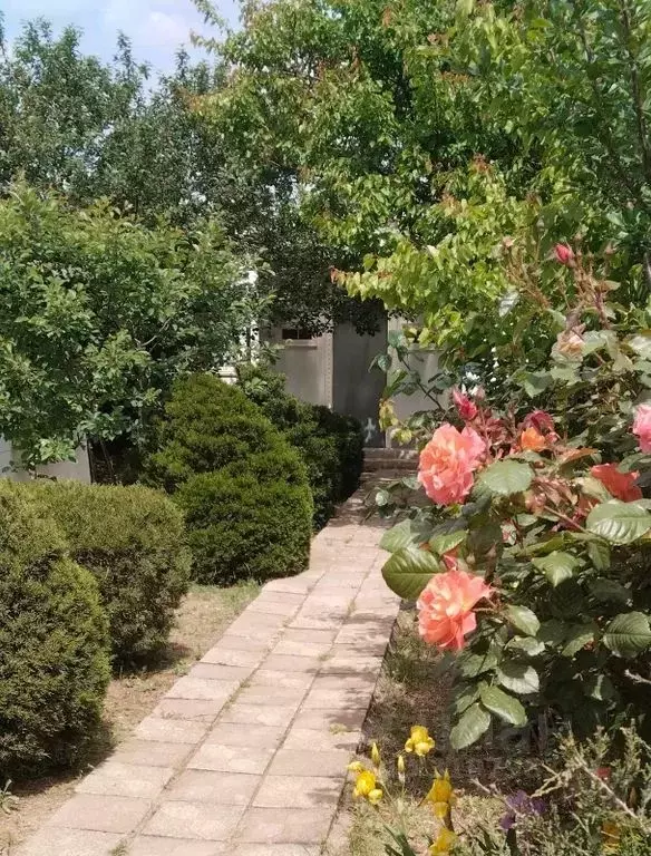 Дом в Крым, Сакский район, Уютненское с/пос, Орбита СПК ул. ... - Фото 0