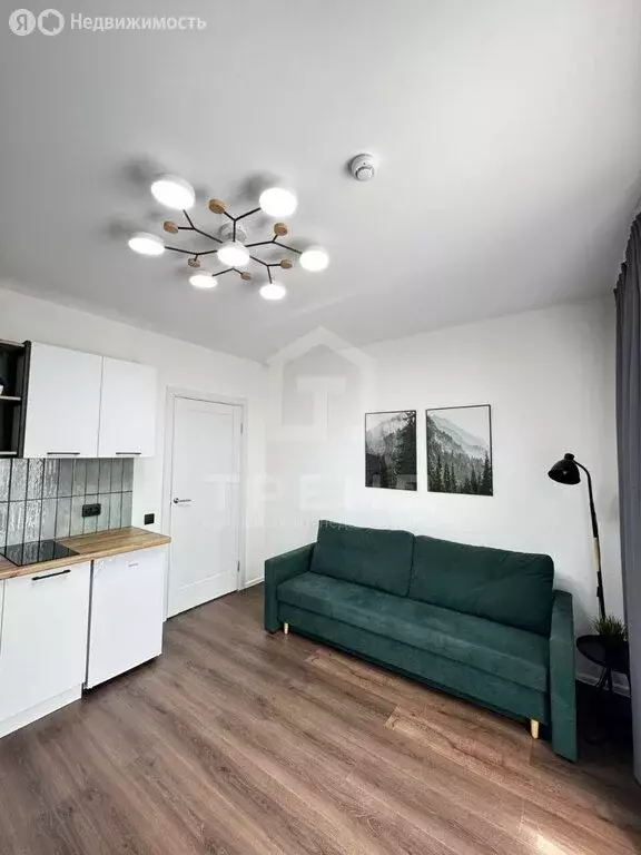 Квартира-студия: Санкт-Петербург, Муринская дорога, 8к1 (19 м) - Фото 1