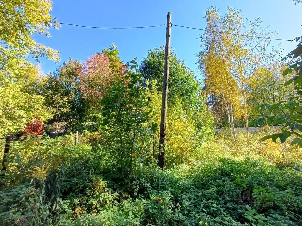 Участок в Московская область, Люберцы городской округ, Малаховка пгт ... - Фото 2