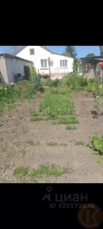 Дом в Крым, Симферопольский район, с. Урожайное ул. Виноградная, 34/4 ... - Фото 1