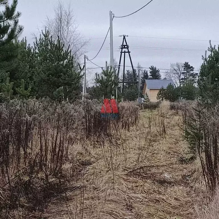 Участок в Ярославская область, Ярославский муниципальный округ, д. ... - Фото 1
