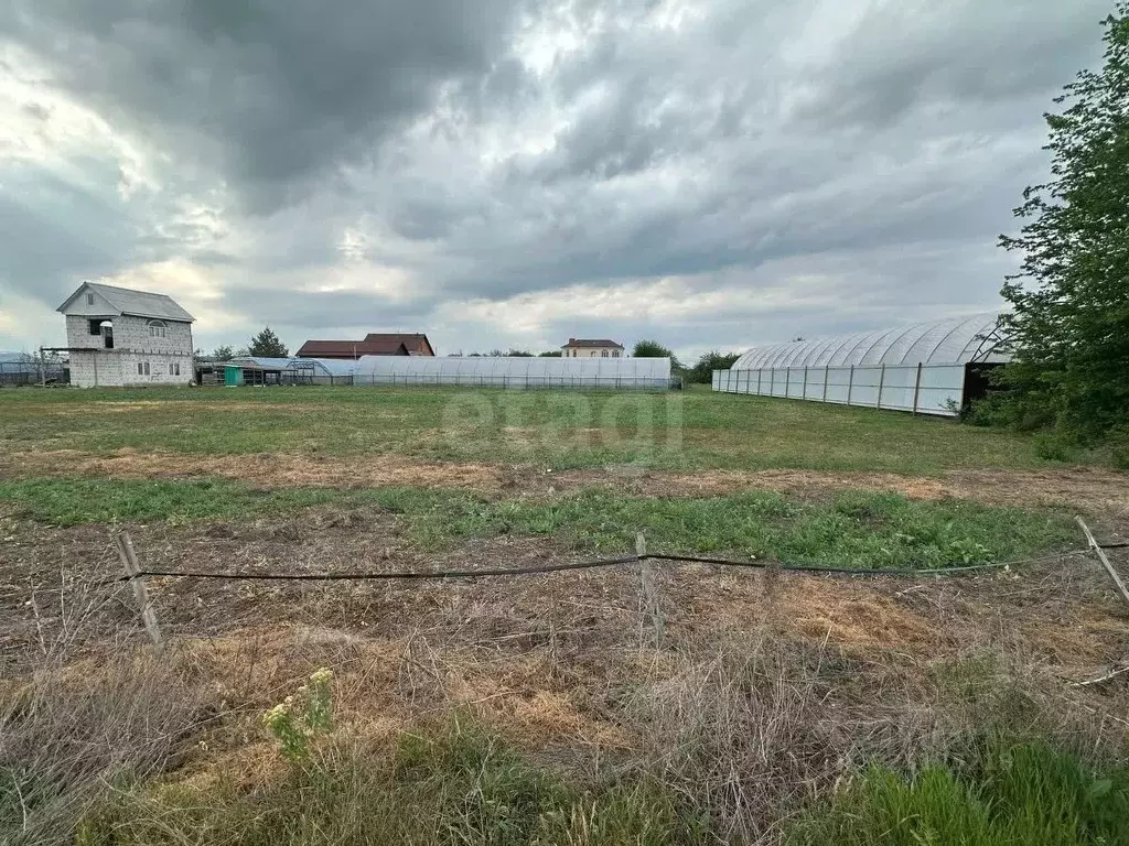 Участок в Ростовская область, Октябрьский район, Кривянское с/пос, ... - Фото 2