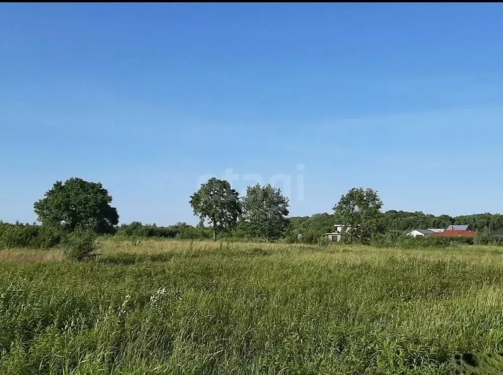 Участок в Калининградская область, Зеленоградск ул. Задорная, 6 (6.0 ... - Фото 1