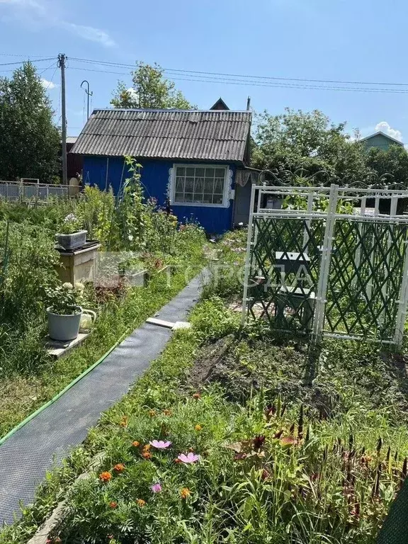 Участок в Новосибирская область, Новосибирский район, Барышевский ... - Фото 1