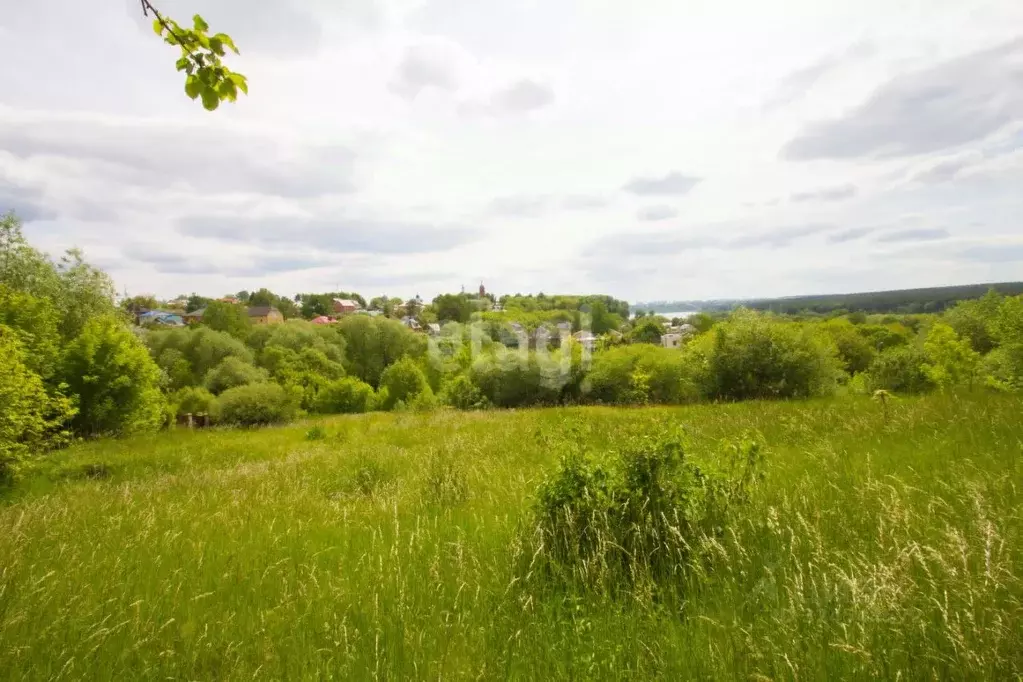 Участок в Калужская область, Калуга д. Железняки, Парковая ул. (7.5 ... - Фото 1