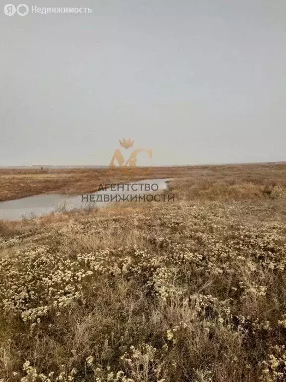 Участок в Батальненское сельское поселение, СНТ Нептун (8 м) - Фото 1