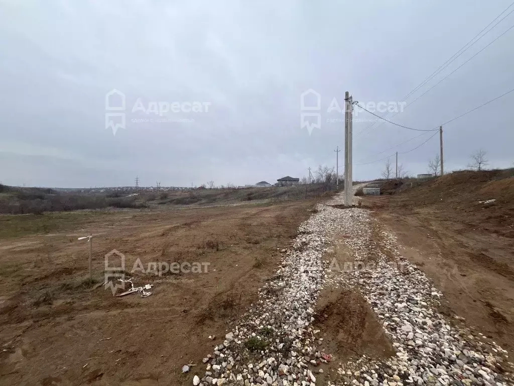 Участок в Волгоградская область, Городищенский район, Царицынское ... - Фото 2
