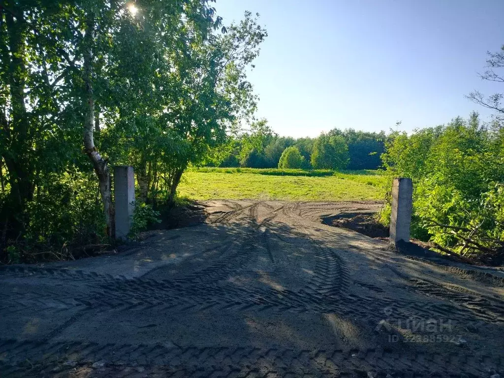 Участок в Карелия, Прионежский район, с. Шелтозеро  (16.0 сот.) - Фото 1