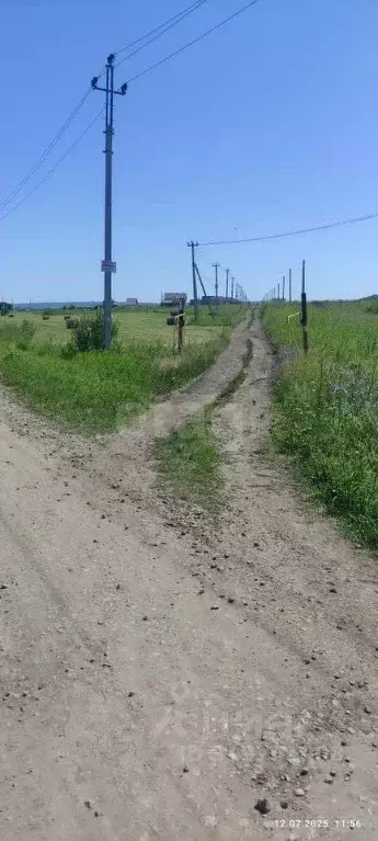 Участок в Башкортостан, Чишминский район, Алкинский сельсовет, с. ... - Фото 1