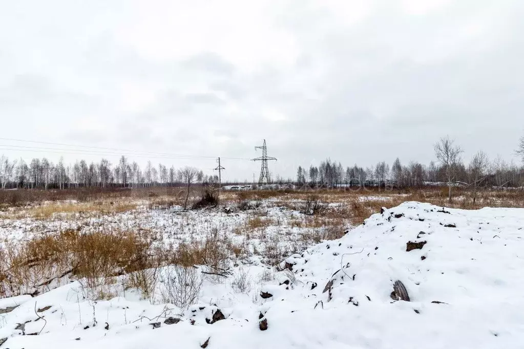 Участок в Тюменская область, Тюмень СОСН Березка-3 тер.,  (100.0 сот.) - Фото 0