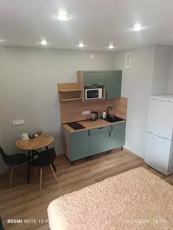 Студия Псковская область, Псковский район, Завеличенская волость, д. ... - Фото 2