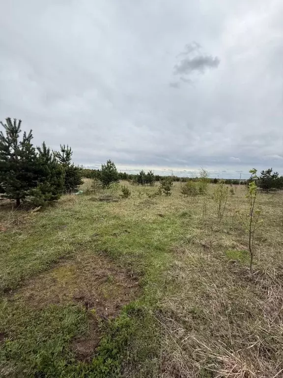 Участок в Владимирская область, Владимир д. Уварово, пер. 1-й ... - Фото 2