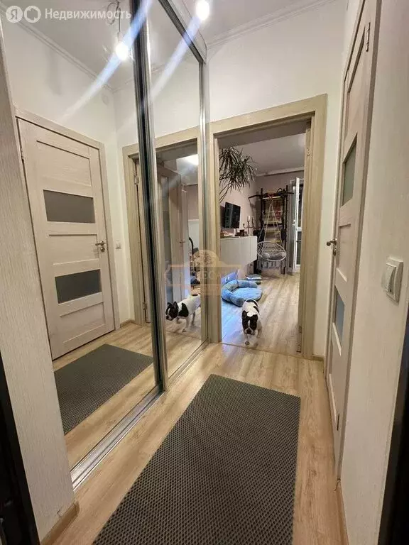 Квартира-студия: Санкт-Петербург, Плесецкая улица, 14 (21.3 м) - Фото 0