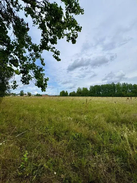 Участок, 684 сот., фермерское хоз-во - Фото 2