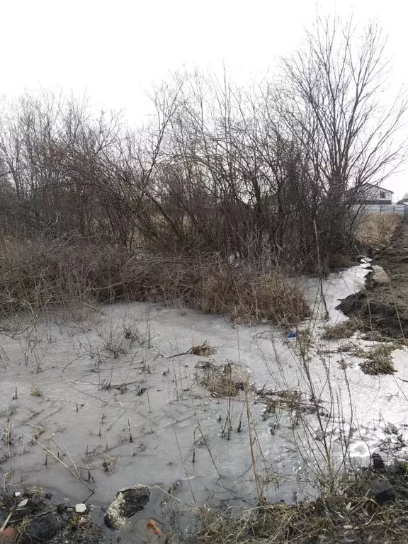 Участок в Московская область, Орехово-Зуевский городской округ, д. ... - Фото 0