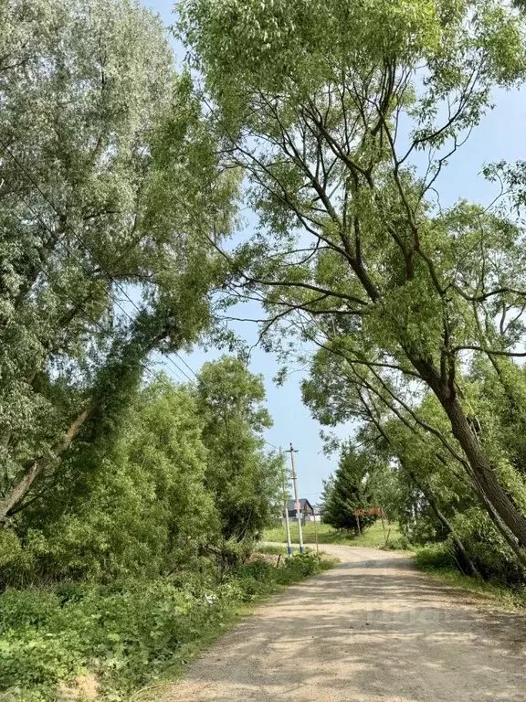 Участок в Московская область, Домодедово Новое Косино кп, 85 (15.53 ... - Фото 1