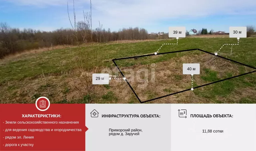 Участок в Архангельская область, Приморский муниципальный округ, д. ... - Фото 1