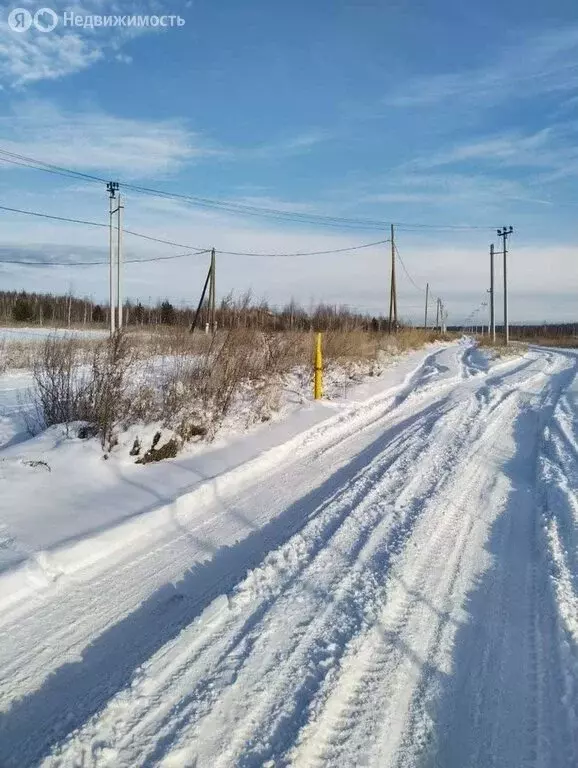 Участок в село Большие Харлуши, Новая улица (7.5 м) - Фото 2