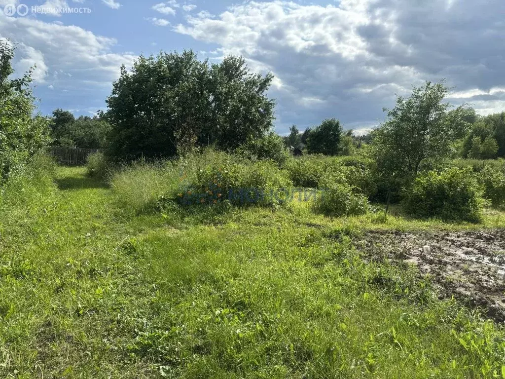 Участок в Нижегородская область, Богородский муниципальный округ, ... - Фото 1