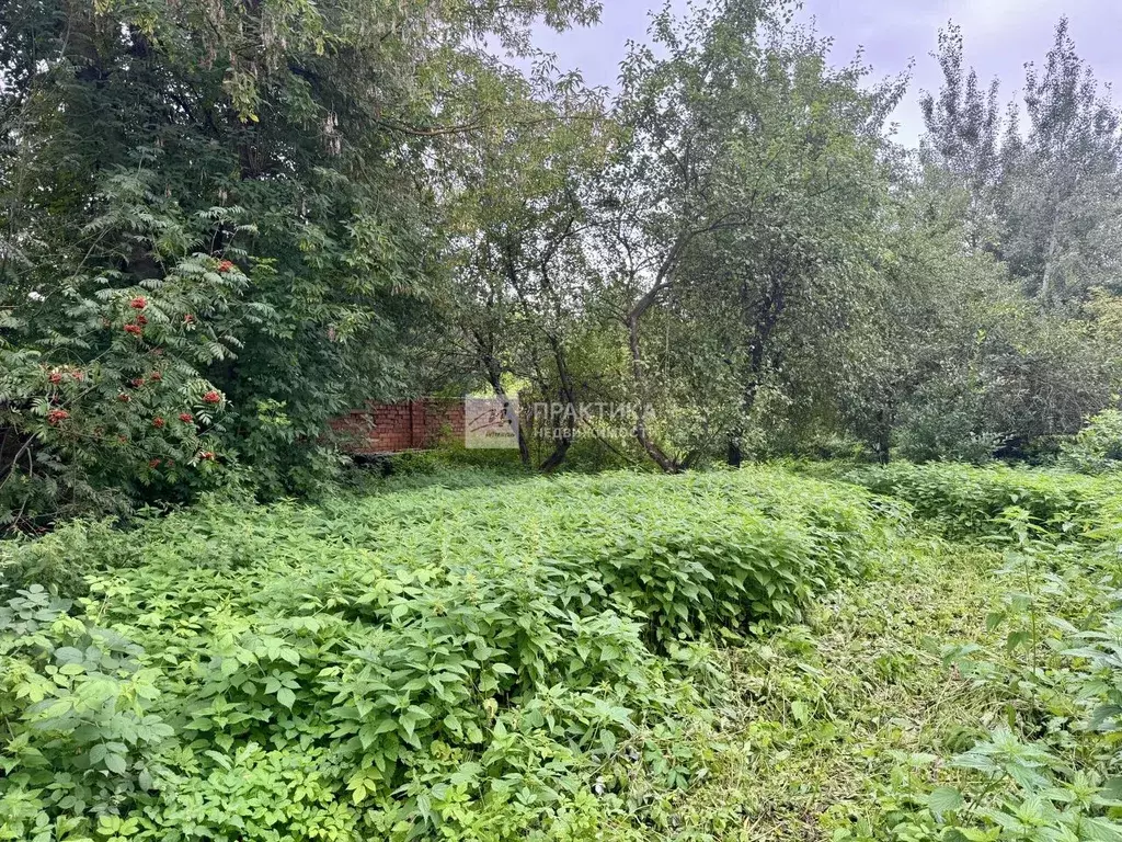 Участок в Московская область, Одинцовский городской округ, с. ... - Фото 1