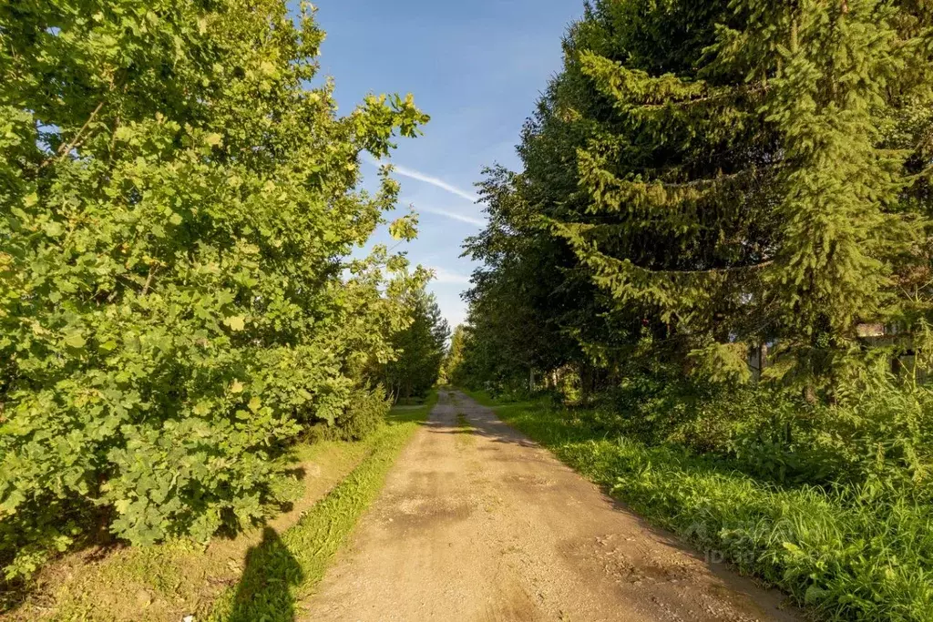 дом в московская область, волоколамский городской округ, д. чередово . - Фото 1