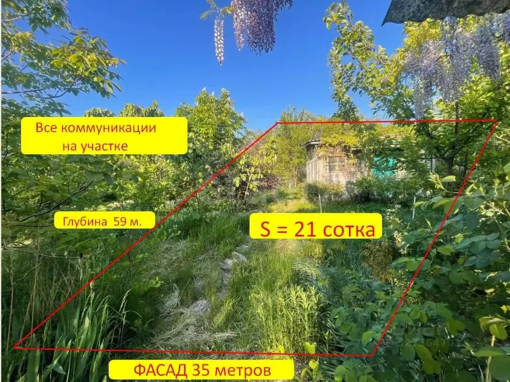 Участок в Краснодарский край, Анапа муниципальный округ, с. Супсех ул. ... - Фото 1