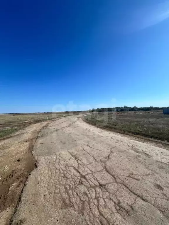Участок в Крым, Сакский район, Молочненское с/пос, с. Витино  (6.0 ... - Фото 1