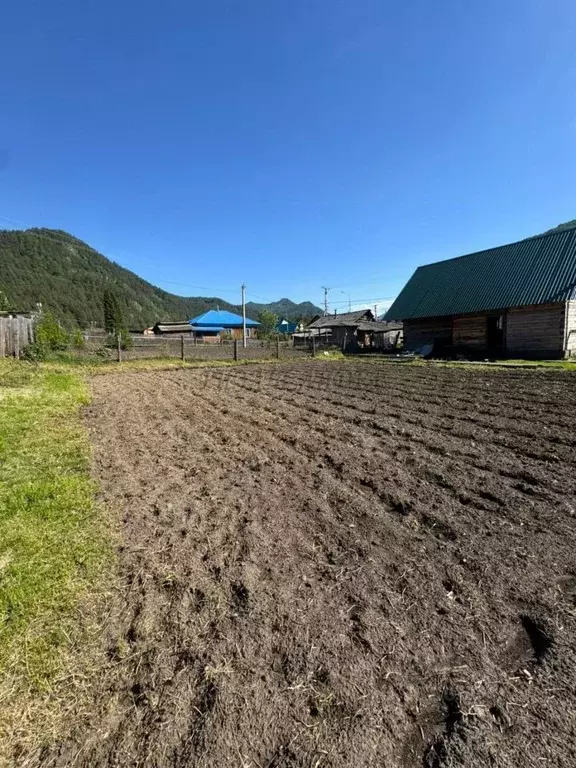 Дом в Алтай, Майминский район, с. Усть-Муны ул. Кошурникова (108 м) - Фото 1