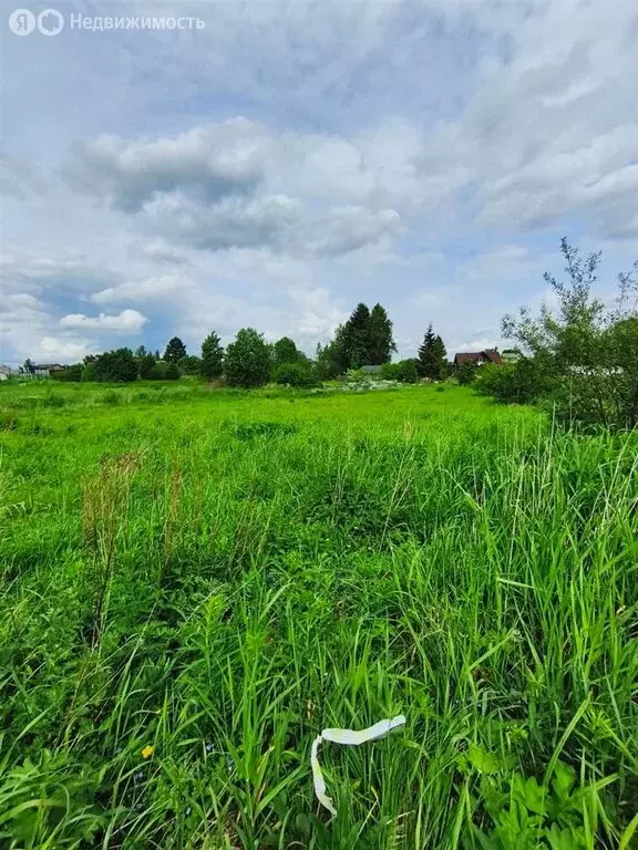 Участок в деревня Сабры, Круговая улица (15 м) - Фото 1