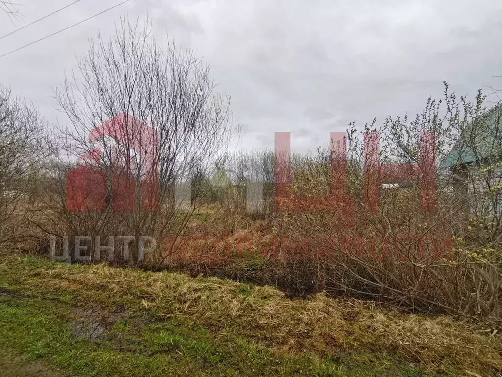 Участок в Тверская область, Конаковский муниципальный округ, Майский ... - Фото 1