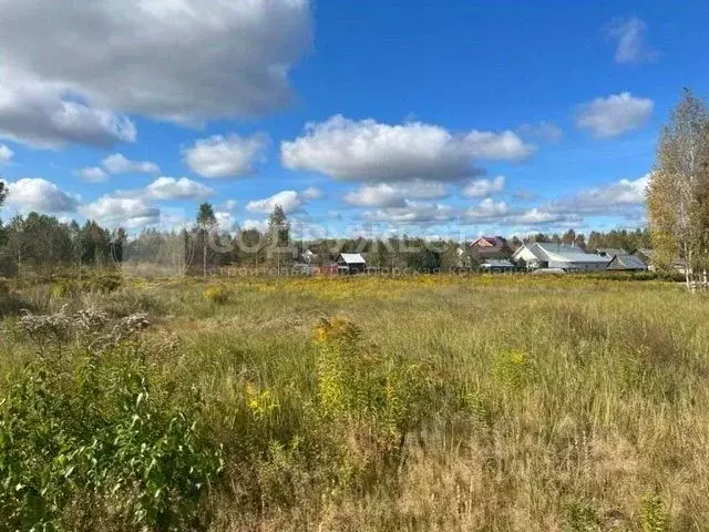 Участок в Нижегородская область, Бор городской округ, д. Орлово  (10.0 ... - Фото 0