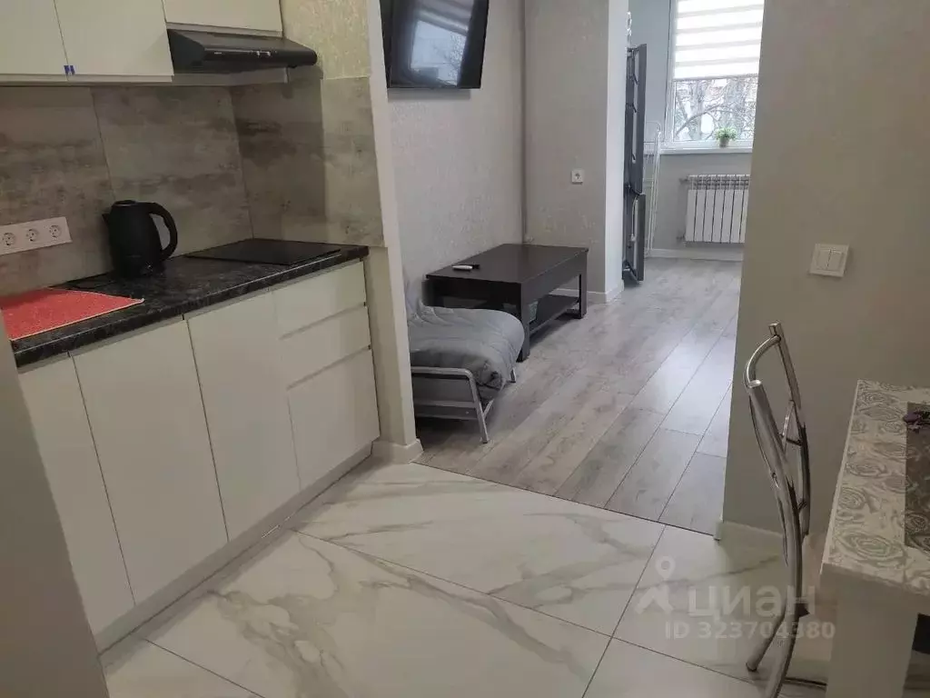 Студия Ставропольский край, Пятигорск ул. Орджоникидзе, 11К2 (23.0 м) - Фото 2