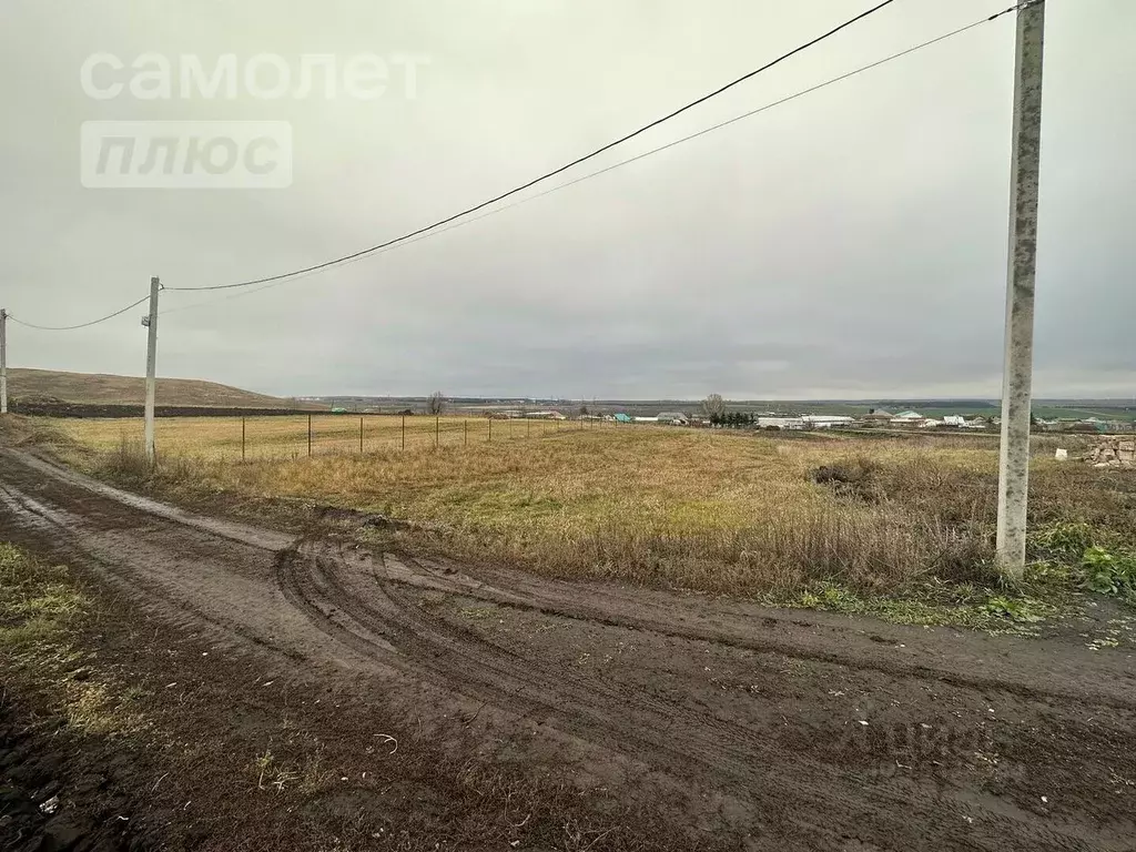 Участок в Татарстан, Альметьевский район, с. Новое Каширово  (12.82 ... - Фото 1