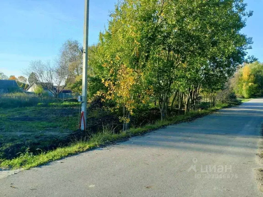 Участок в Московская область, Чехов муниципальный округ, д. ... - Фото 1