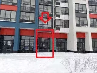 Помещение свободного назначения в Свердловская область, Екатеринбург ... - Фото 1