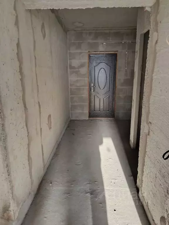 1-к кв. Новосибирская область, Новосибирск ул. Виктора Шевелева, 38/1 ... - Фото 2