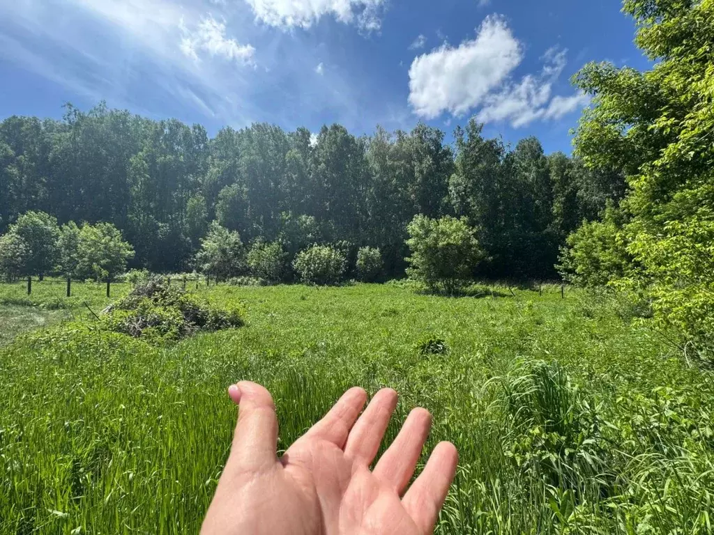 Участок в Алтайский край, Алтайский район, Айский сельсовет, с. Ая ул. ... - Фото 1