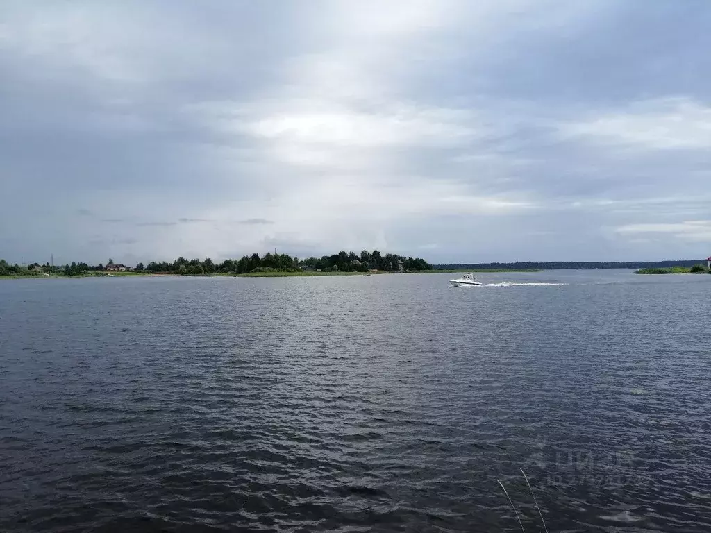 Участок в Тверская область, Осташковский городской округ, д. Радухово  ... - Фото 1