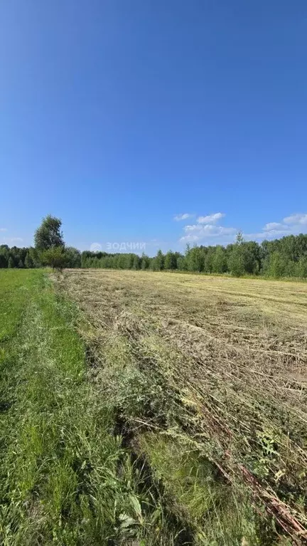 Участок в Чувашия, Моргаушский муниципальный округ, д. Шомиково  (13.7 ... - Фото 1