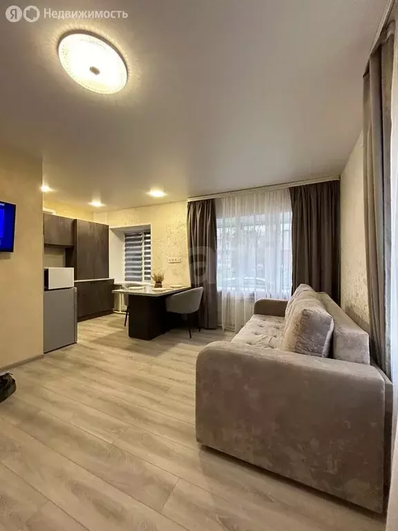 Квартира-студия: посёлок Зимёнки, улица Мира, 1 (29 м) - Фото 2