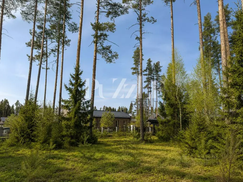 Участок в Ленинградская область, Выборгский район, Рощино городской ... - Фото 1
