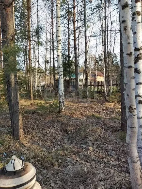 Участок в Красноярский край, Дивногорск Дружба СНТ, 147 (12.0 сот.) - Фото 1