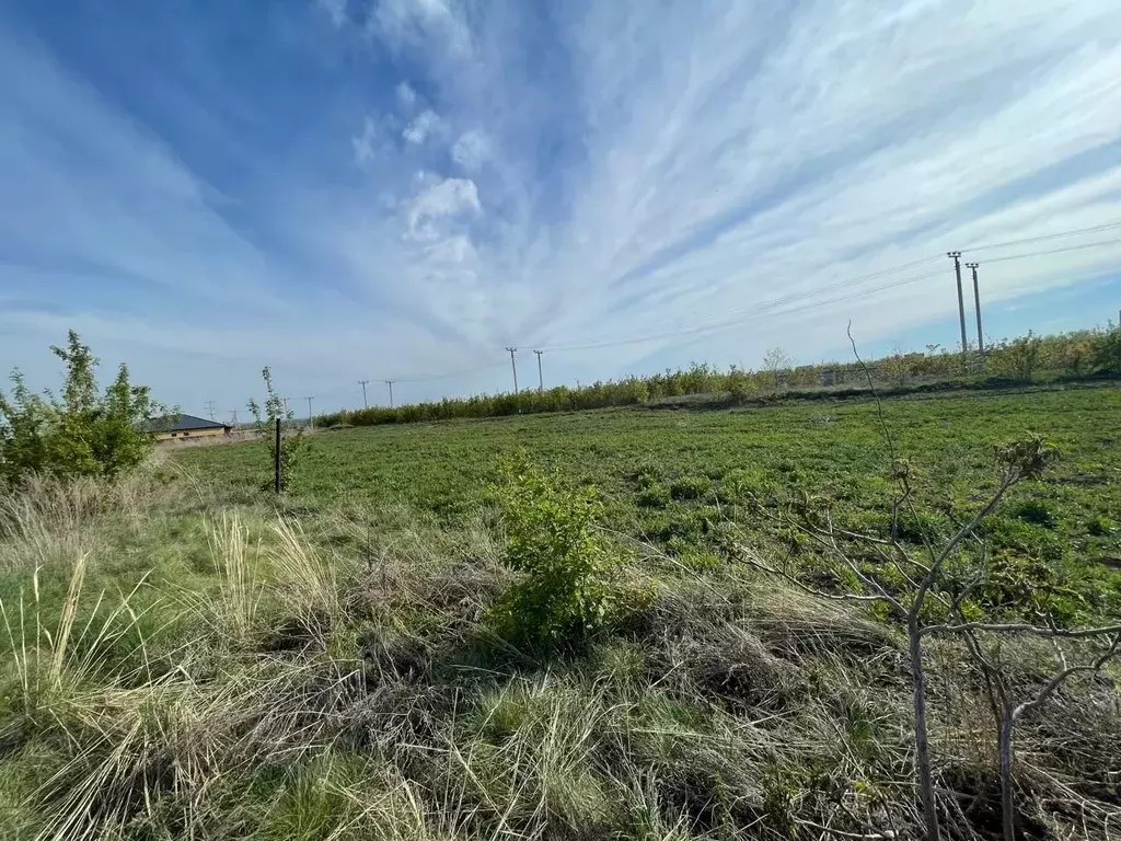 Участок в Оренбургская область, Оренбургский район, пос. Ленина ул. ... - Фото 2